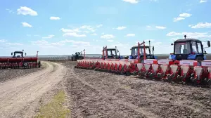 Елімізде 2025 жылғы көктемгі егіс науқаны толық аяқталды