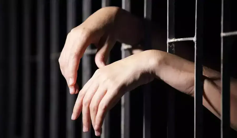 Мәжіліс рақымшылық туралы заңды қабылдады