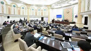 Сенатта азаматтық қорғау туралы заң қаралды
