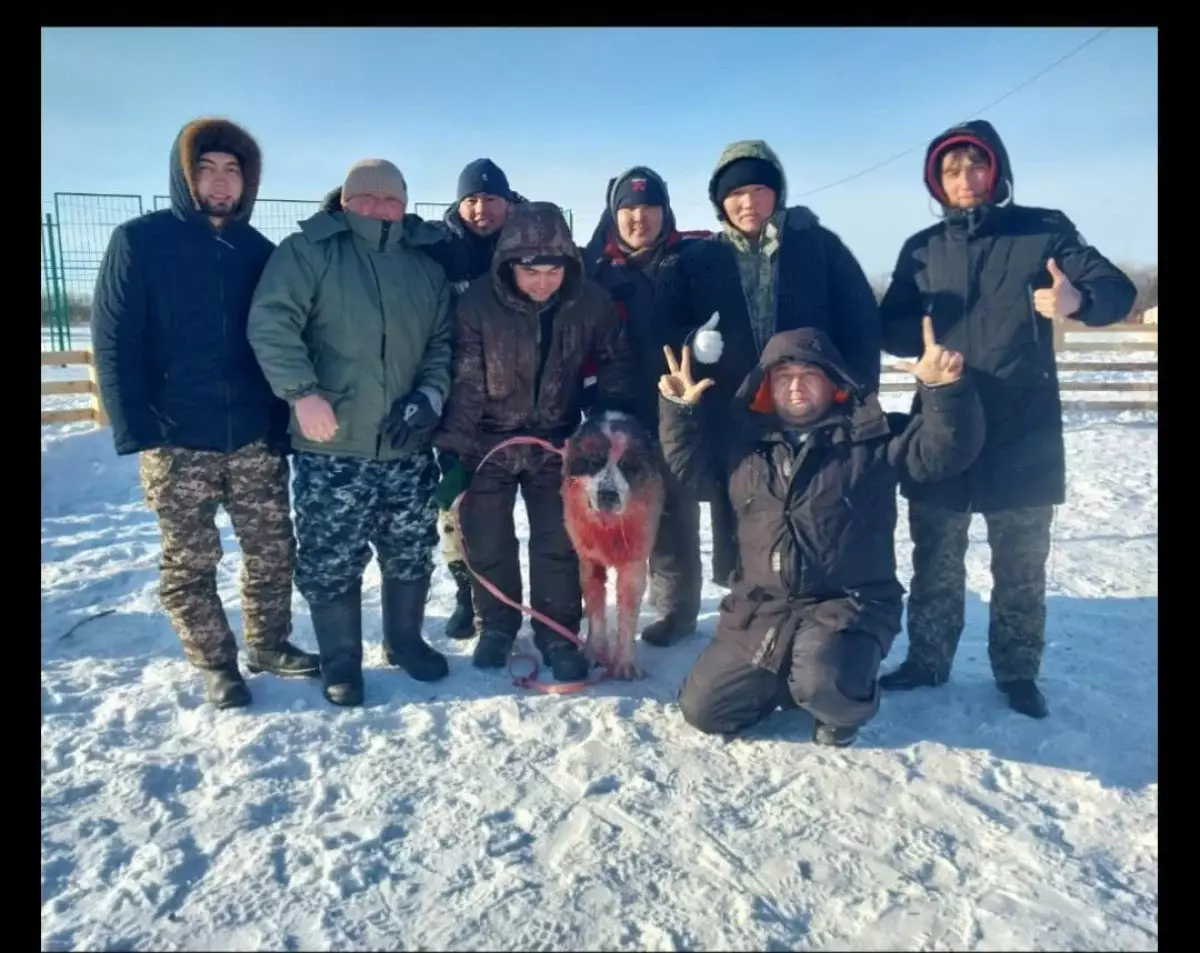 Зверское отношение к животным возмутило казахстанцев