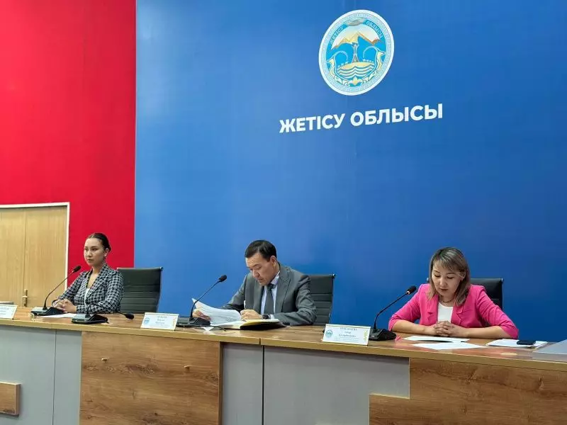 Таможенный контроль в области Жетісу усиливается: за 5 месяцев проведена 91 проверка