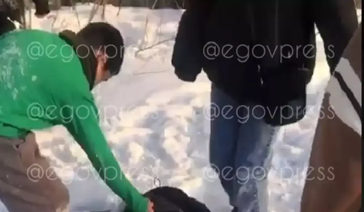 Мальчика жестоко избили в Семее: родители хулиганов лишены и ограничены в правах