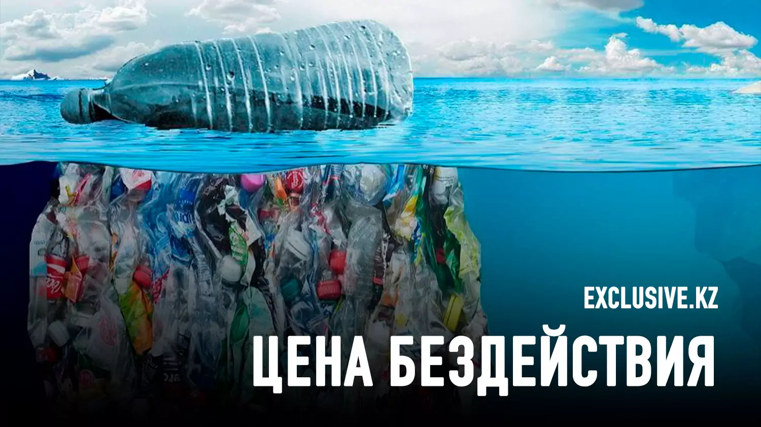 Реальная цена загрязнения океана пластиком