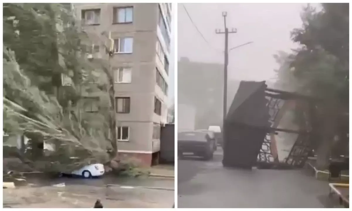 Павлодар облысында дауылдан әйел адам қаза тапты