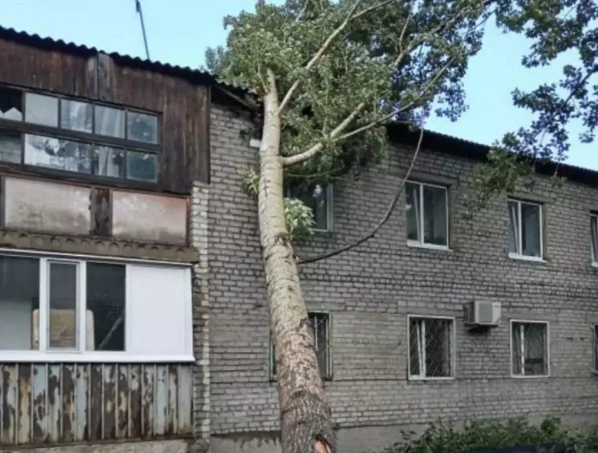 Ураган в Павлодарской области: один человек погиб, десятки объектов повреждены