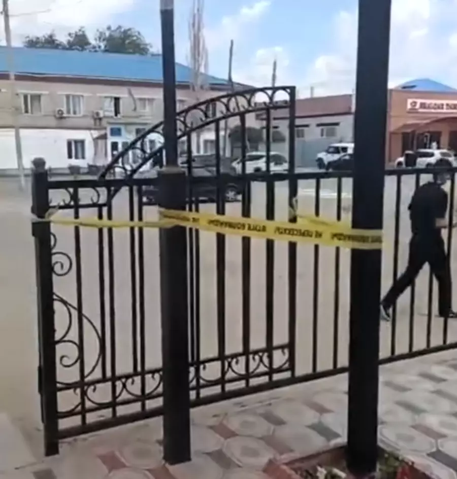 Прогулка по скверу закончилась реанимацией для мальчика в Актюбинской области