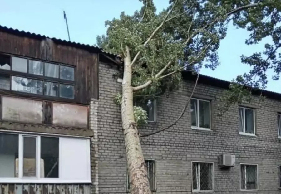 Ураган: в Павлодарской области объявят режим ЧС