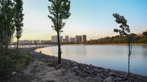 Алматыдағы Сайран көлінде өнер мен әдебиет өкілдері тазалық акциясына шықты