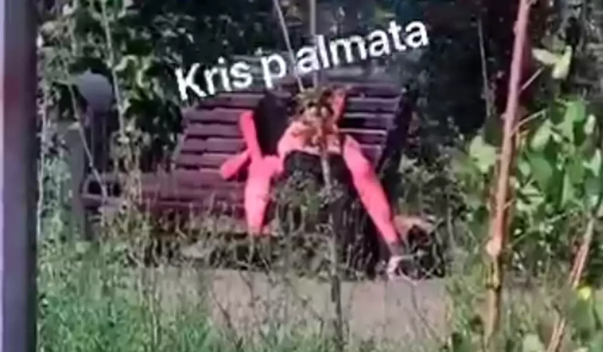 Пара занялась сексом прямо на скамейке в Алматы (ВИДЕО)