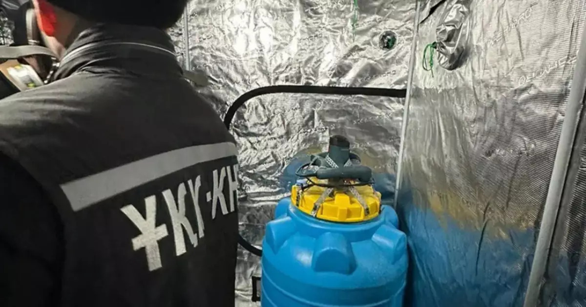  Мұнайлыда есірткінің үлкен партиясы тәркіленді 