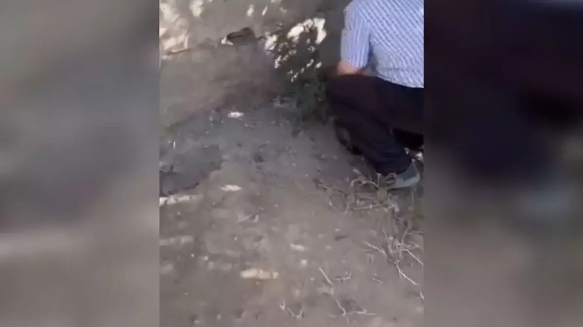 «Убивает животных, ходит с ножом»: пенсионер задушил щенка в Темиртау (ВИДЕО)