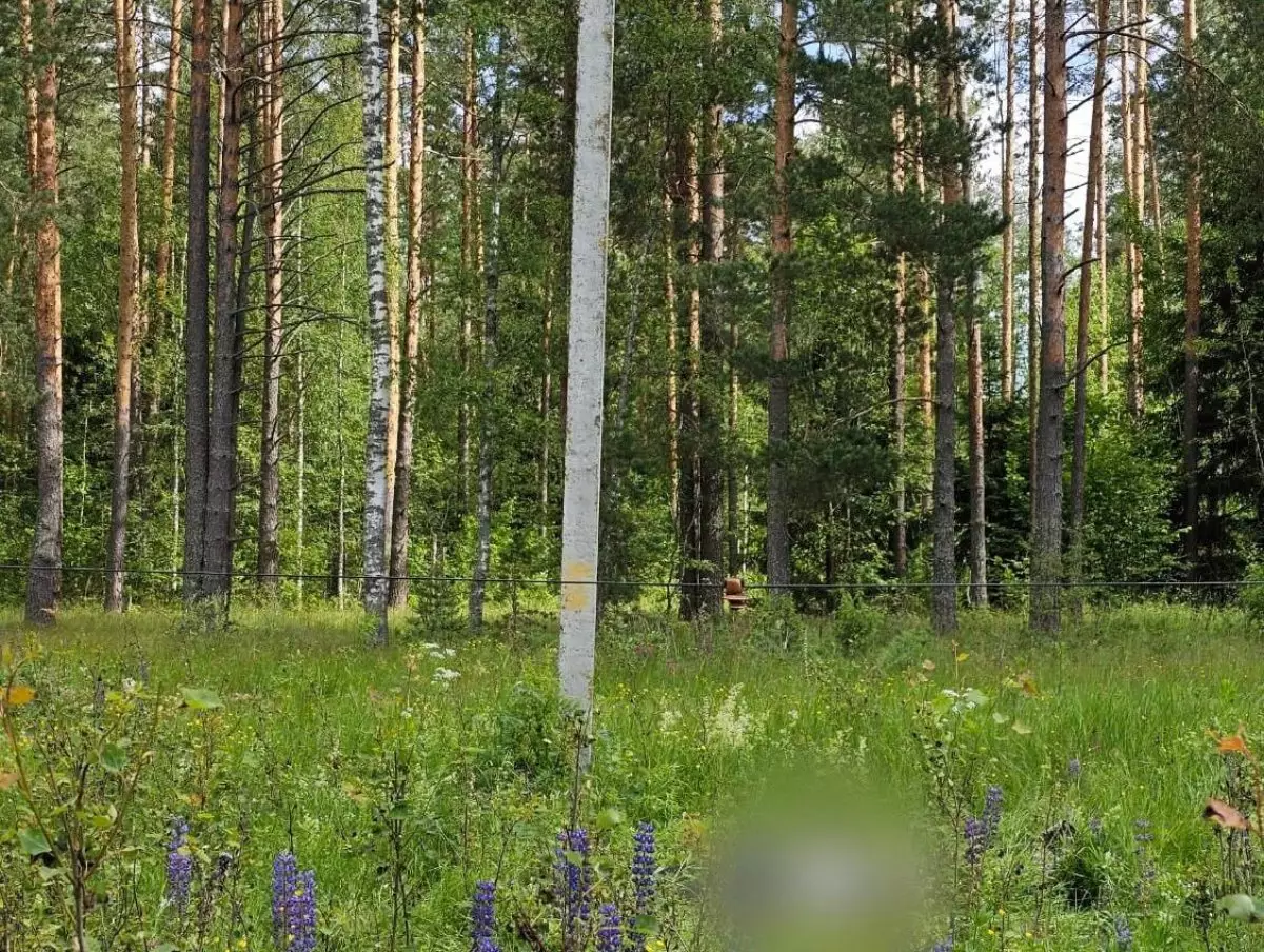 Мальчик погиб от удара током во Владимирской области