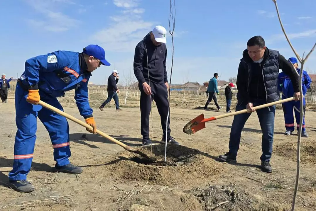 "Таза Қазақстан": два миллиона казахстанцев включились в масштабную экологическую акцию