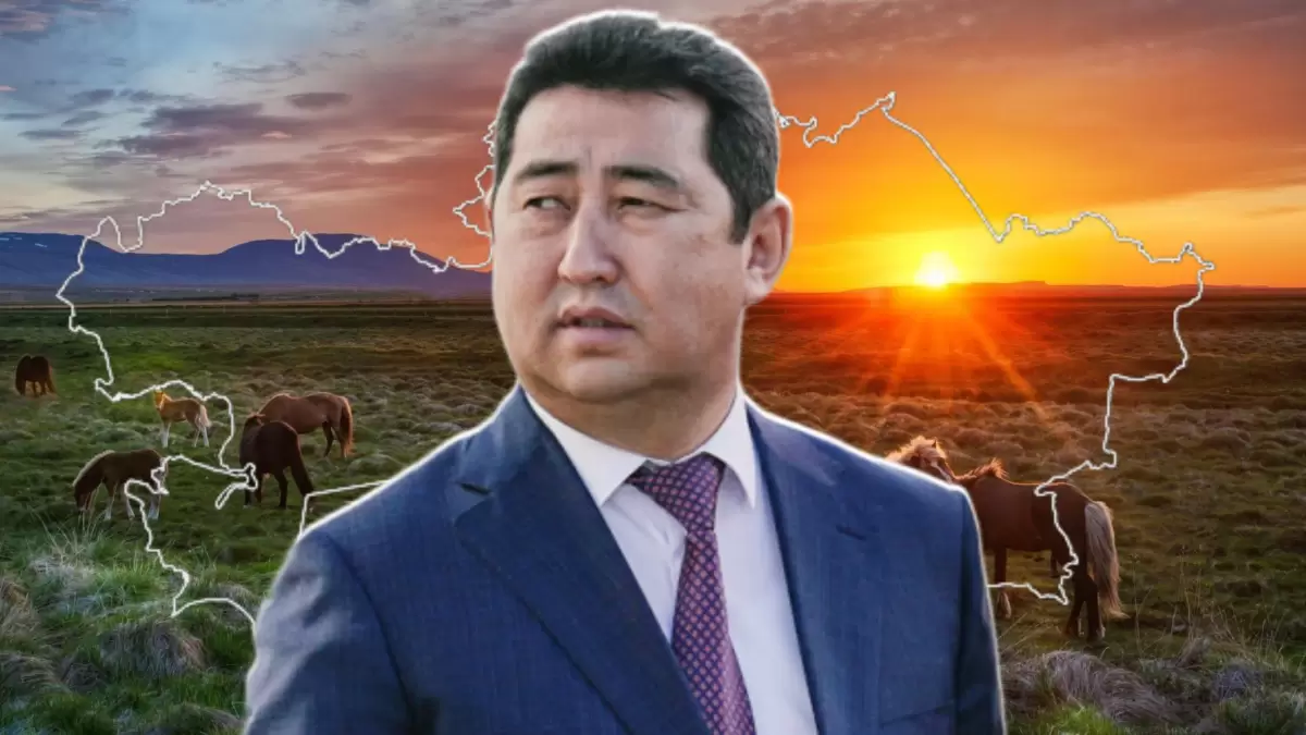 Кең дала, бірақ мал жаятын жер жоқ: АШМ неге жайылым мәселесін шеше алмай отыр