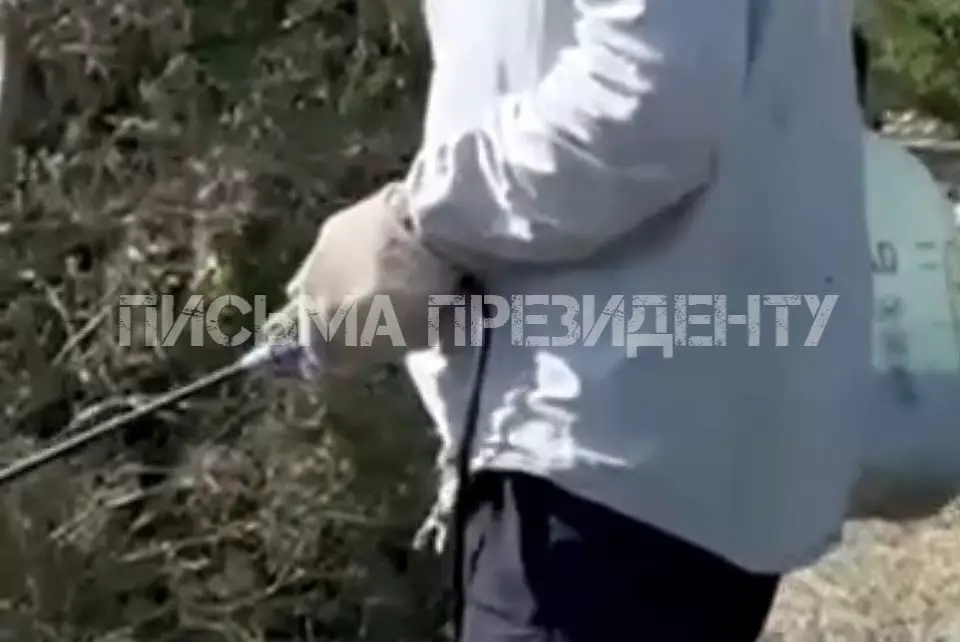 "Зеленый пиар" или плановая обработка? В Актобе опрыскивали деревья перед визитом президента