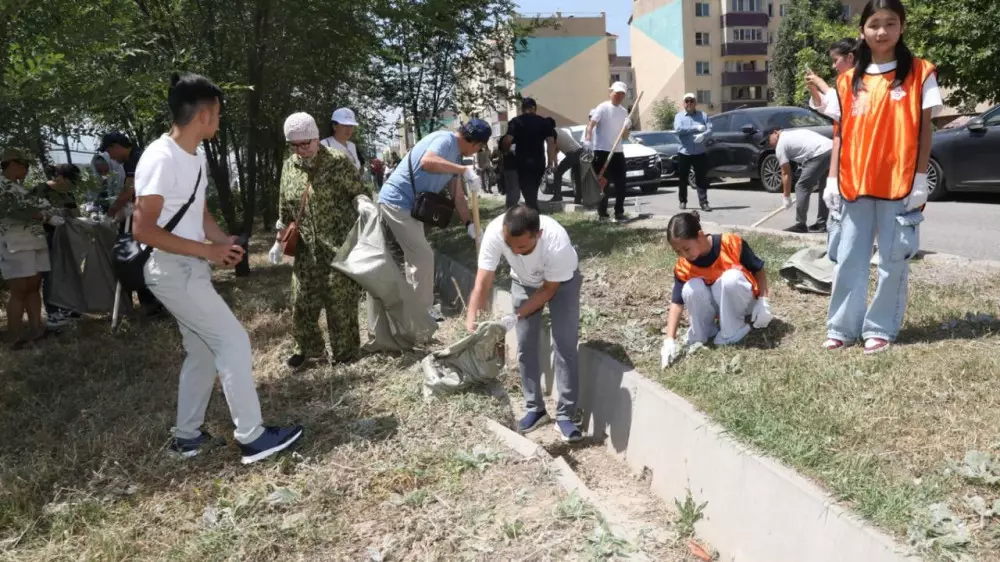 Жители, артисты и общественники вместе провели уборку двора в Алматы