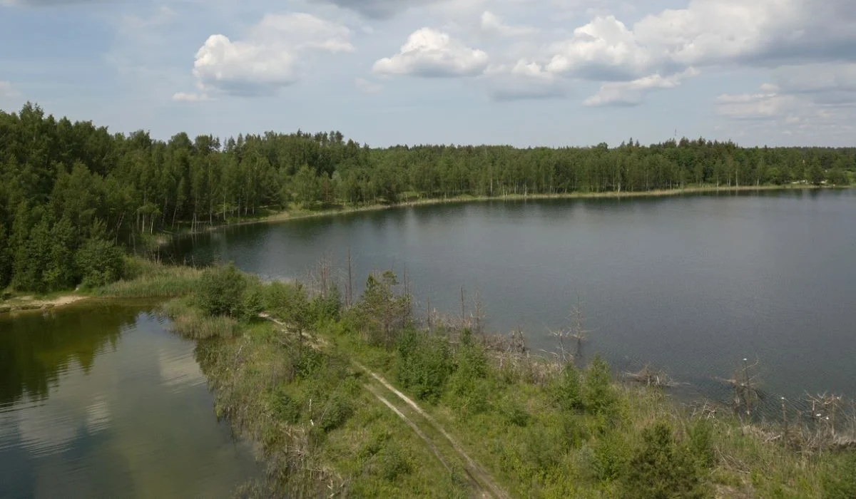 Сібе көлдерінде адасып кеткен бала табылды