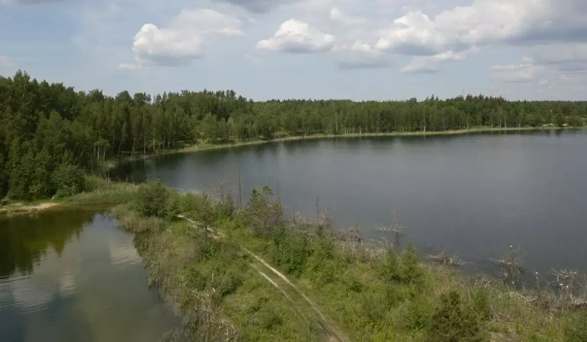 Сібе көлдерінде адасып кеткен бала табылды