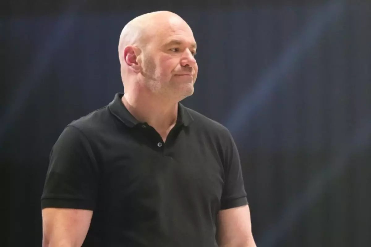 Дана Уайт осудил Пимблетта на UFC 317