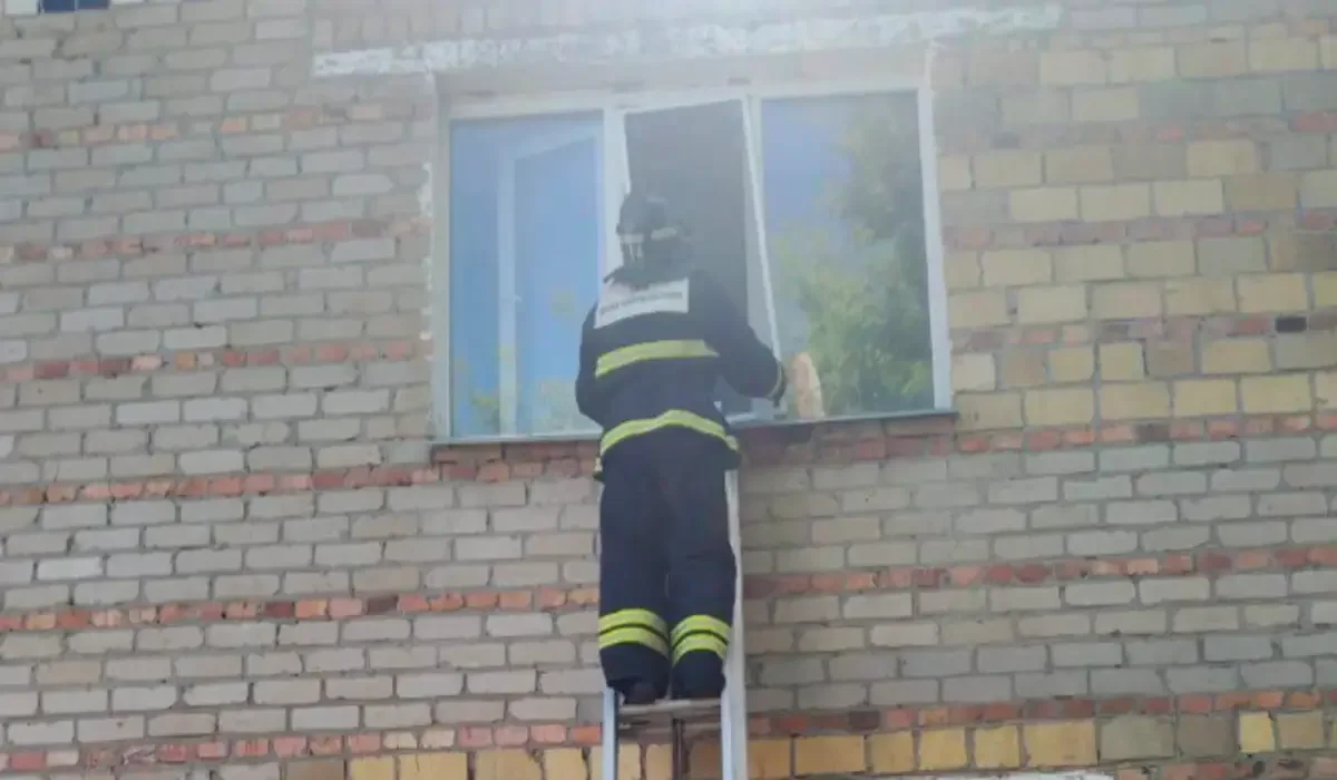 Солтүстік Қазақстанда әлсіреп жатқан қарт әйел құтқарылды