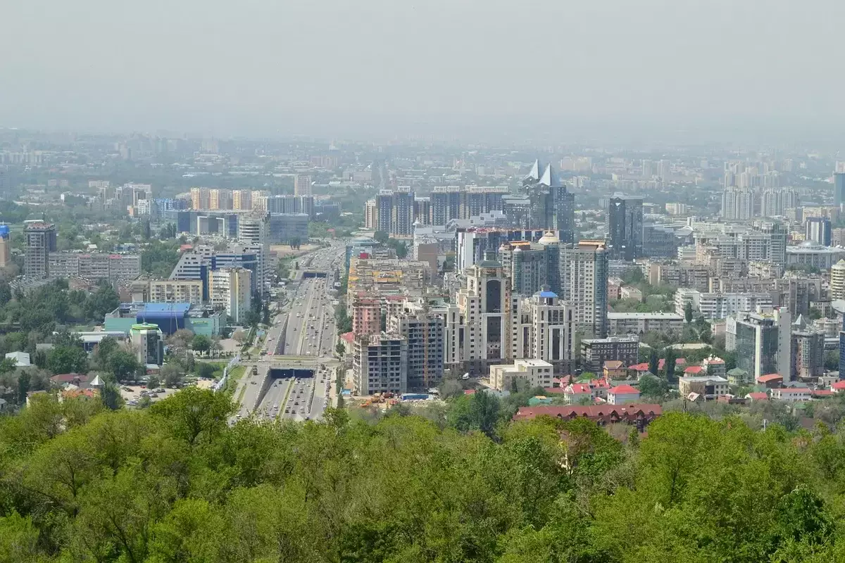Массовое нашествие клопов в Алматы: что говорят в акимате