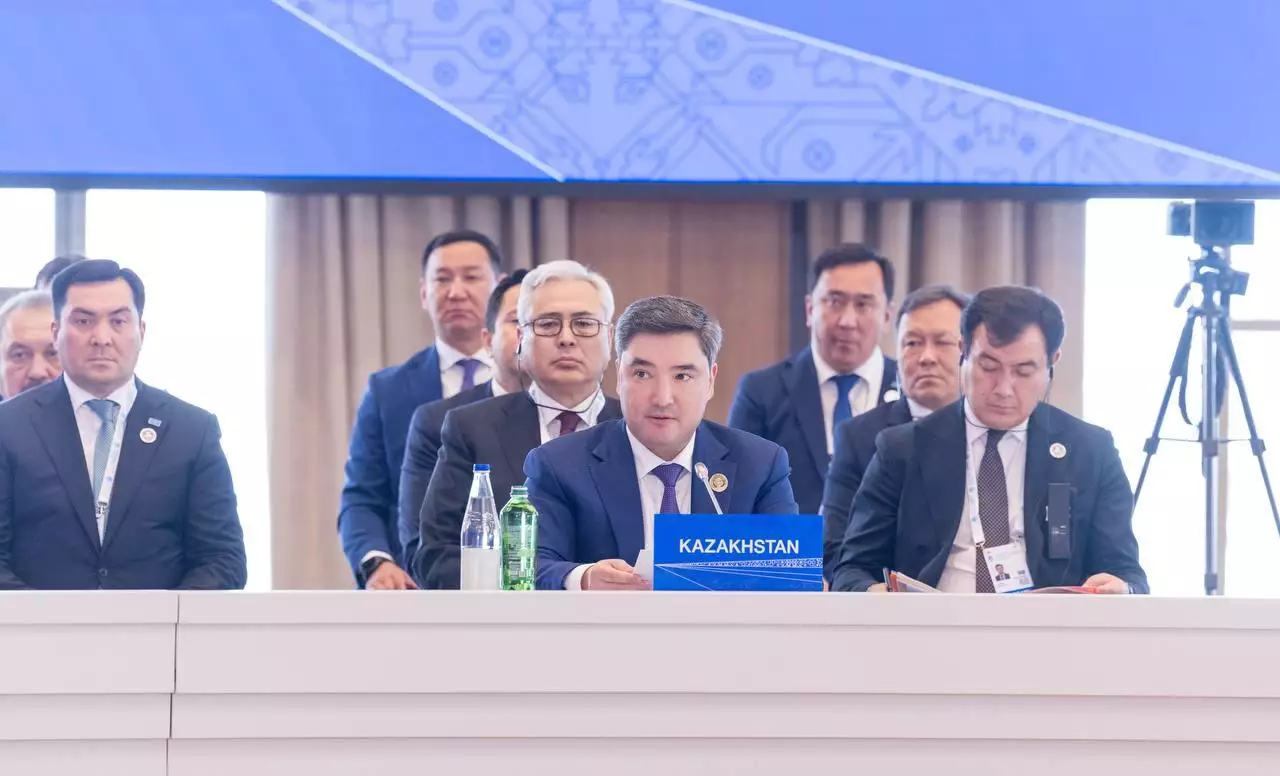 Бектенов Экономикалық ынтымақтастық ұйымының саммитіне қатысты