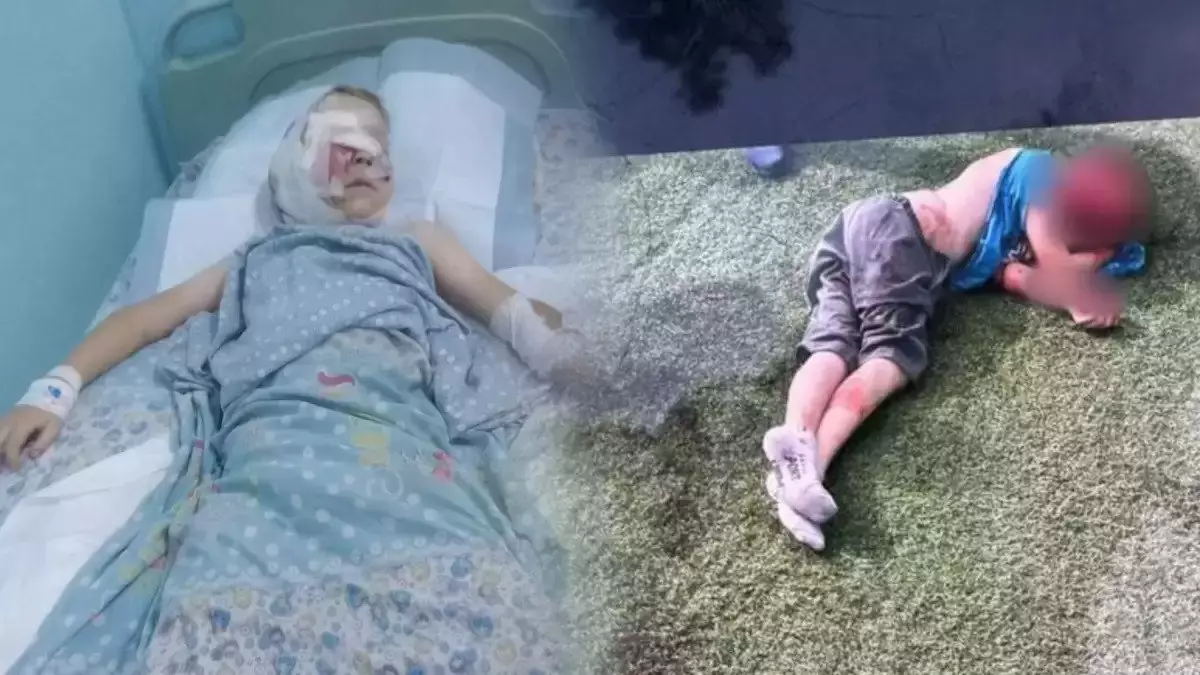 "Неге мен білуім керек?": Шенеунік Жалпақсайдағы оңалту орталығында иттер барынан бейхабар болып шықты