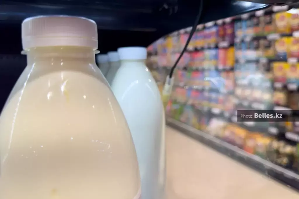 Продукты в Казахстане оказались самыми дешевыми в ЕАЭС — правительство