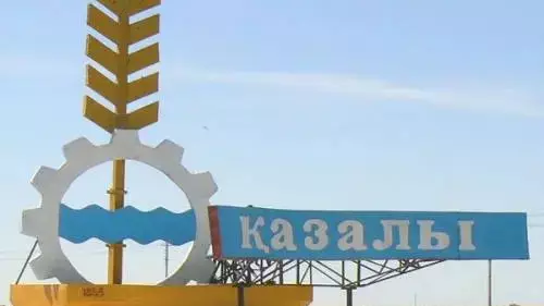Сәби өлі ме, тірі ме? Дәрігерлер "өлді" деген сәбидің денесін шешесіне көрсетпегені қалай?