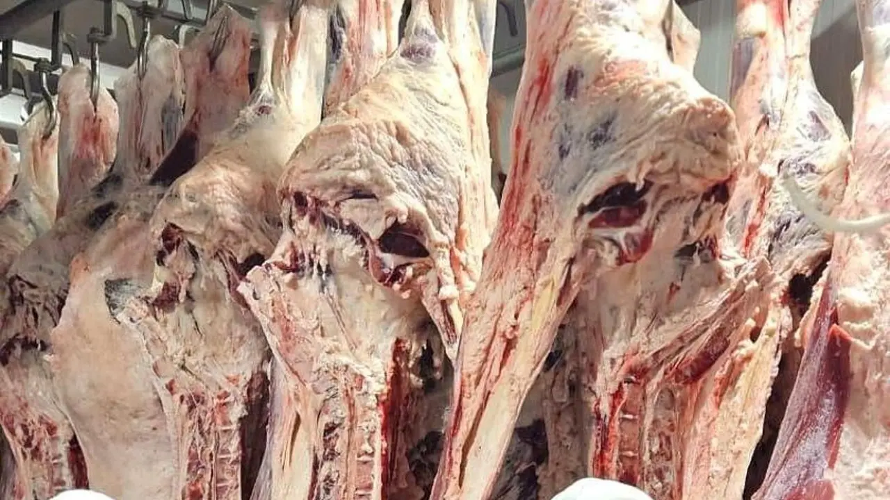Минсельхоз ответил на опасения о безопасности мяса сайги - новости на Lada.kz 19.07.2025
