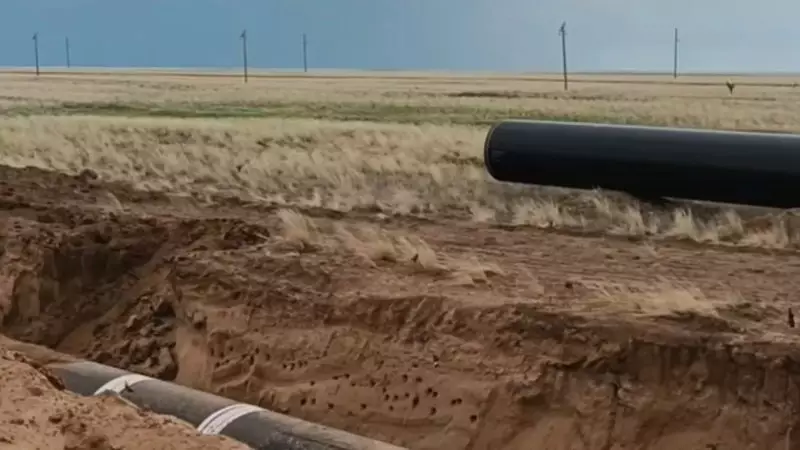 Рабочий в ЗКО отказался разрушать гнезда ласточек и уволился – вице-министр Олжас Сапарбеков пообещал разобраться