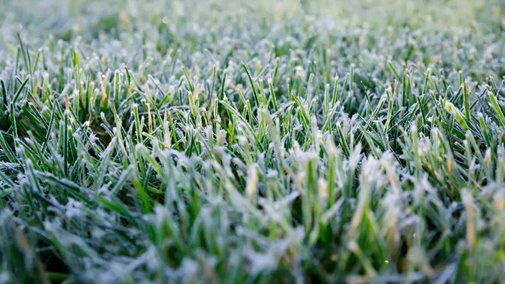 Опасность пожаров и заморозки: штормовое предупреждение объявлено в 17 регионах страны