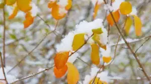 Бүгін Алматыда ауа райы қандай болады?