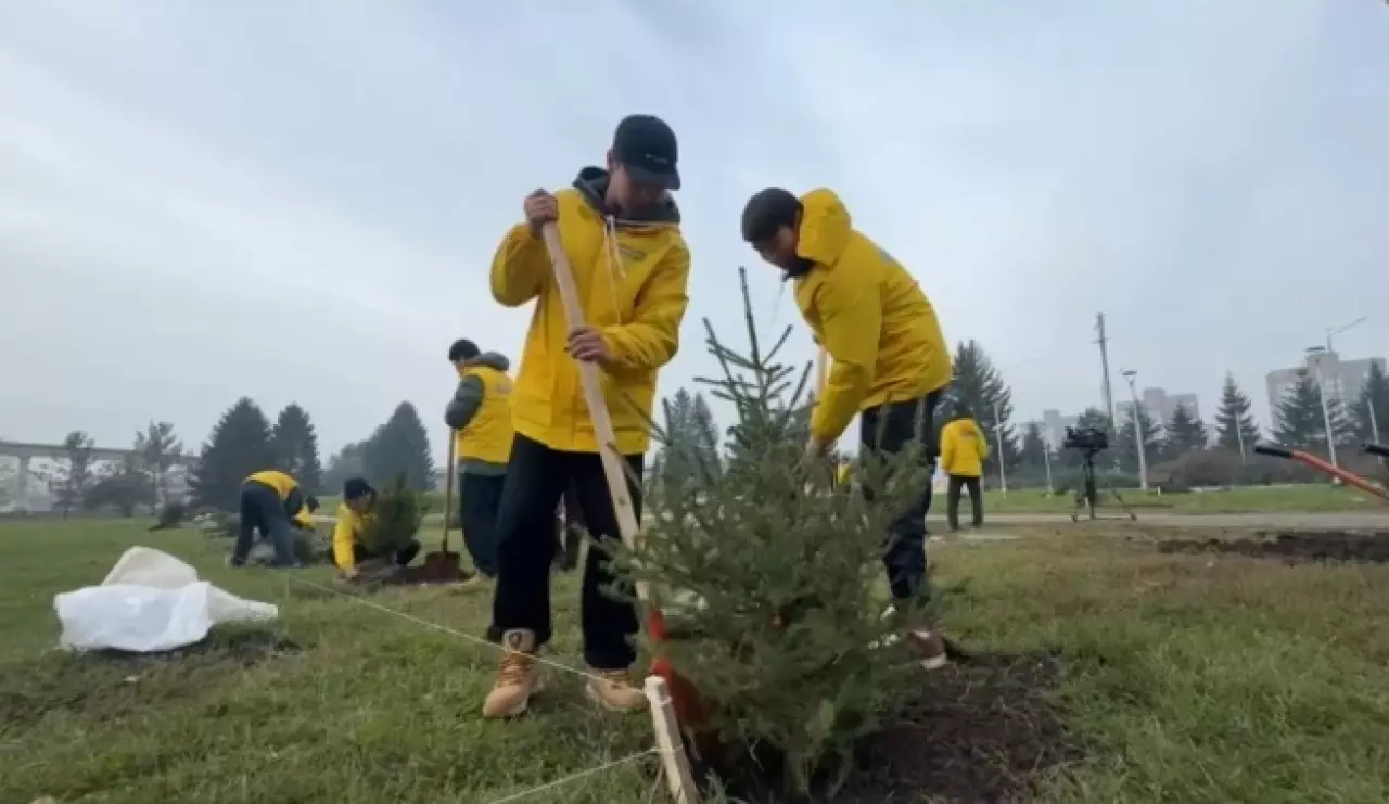 Зеленые аллеи в центре Усть-Каменогорска создают волонтеры