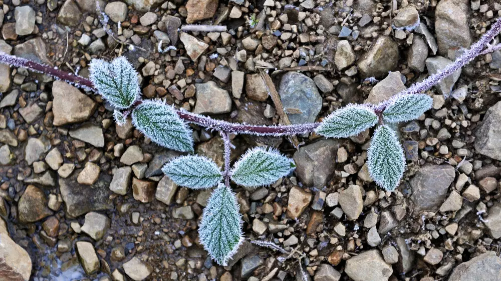 Опасность пожаров и заморозки: штормовое предупреждение объявили в 14 регионах страны