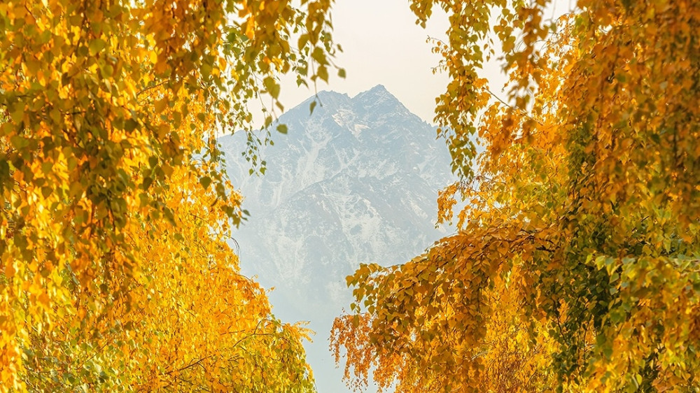 “Всё в золоте“: фотограф запечатлел сказочную осень в Алматы