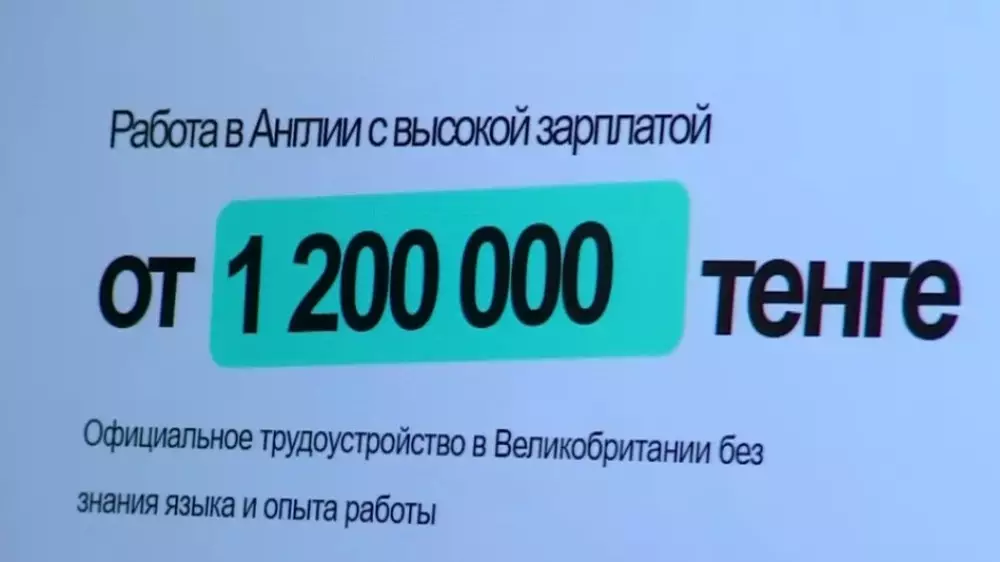 Казахстанцы, мечтавшие собирать клубнику в Англии, стали жертвами мошенников