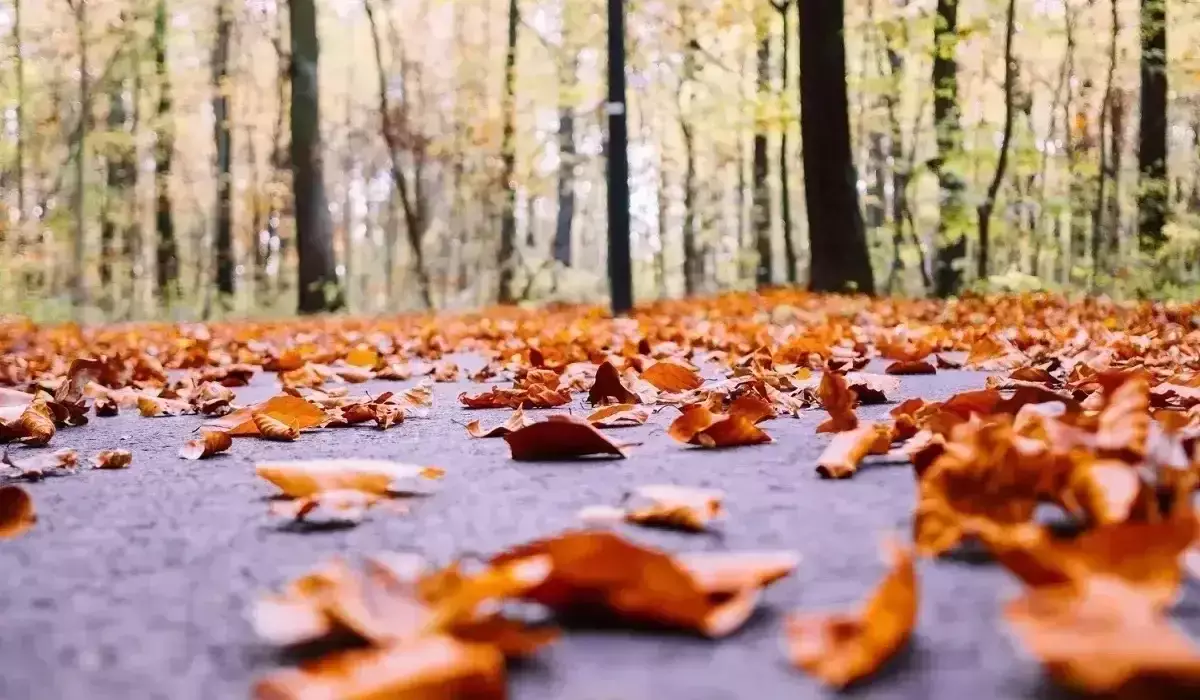 Елімізде 26 қазанда ауа райы қандай болады