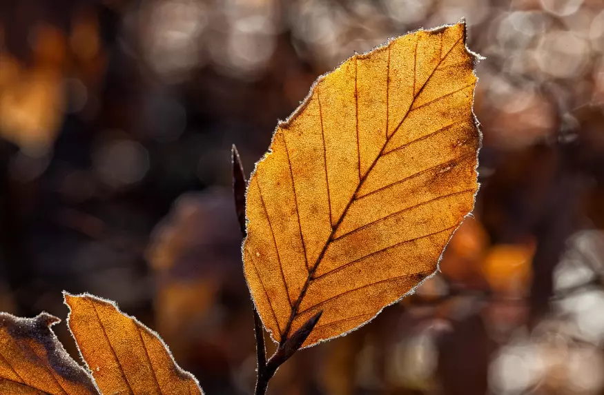 Погода без осадков ожидается в воскресенье в Астане, Алматы и Шымкенте