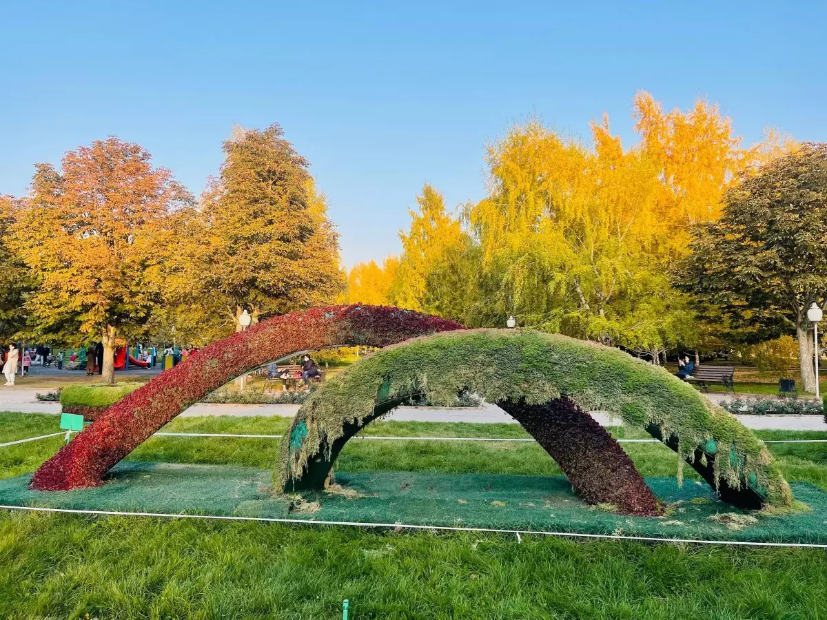 Погода в Алматы с 27 октября по 2 ноября 2025 года