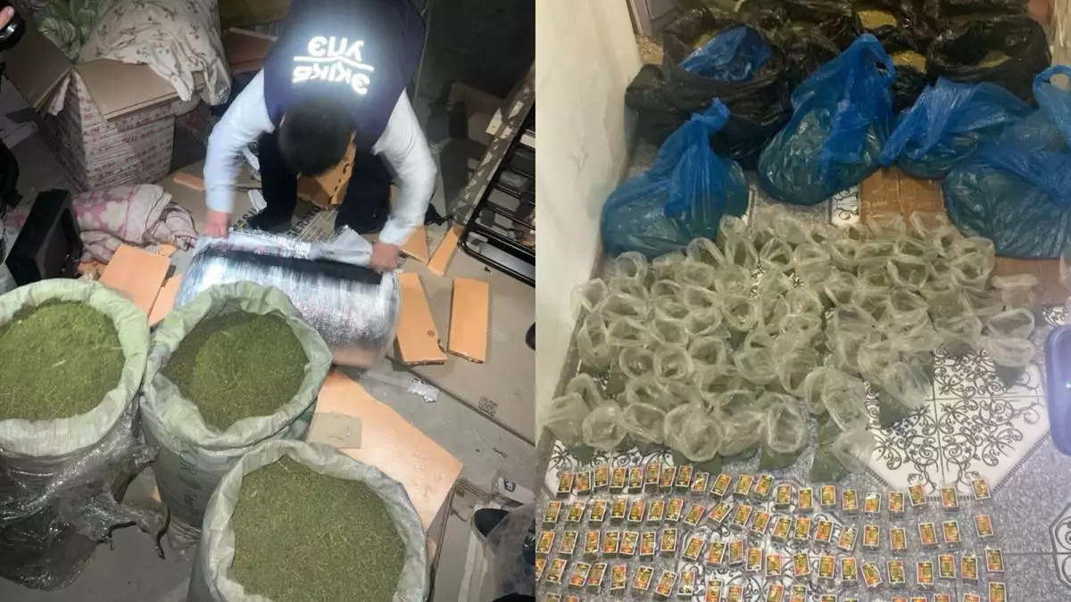 “200 келіге жуық есірткі сақтаған” - Маңғыстау полициясы сұмдық жайт туралы мәлімдеме жасады