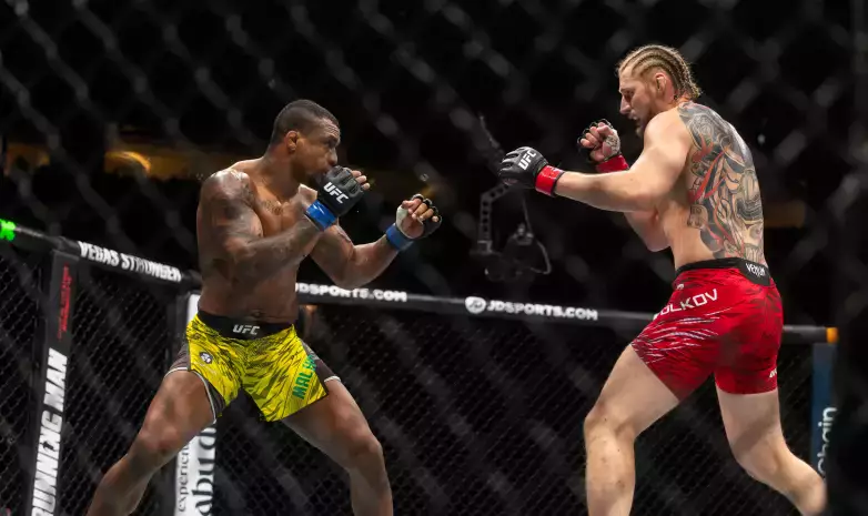 UFC 321: Волков — Алмейда. Видео полного боя