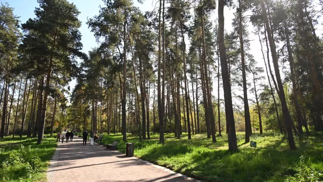 Алматының ауасы қашан жақсарады?