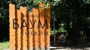 Баум тоғайын абаттандыру жобасында ағаш кесілмейді