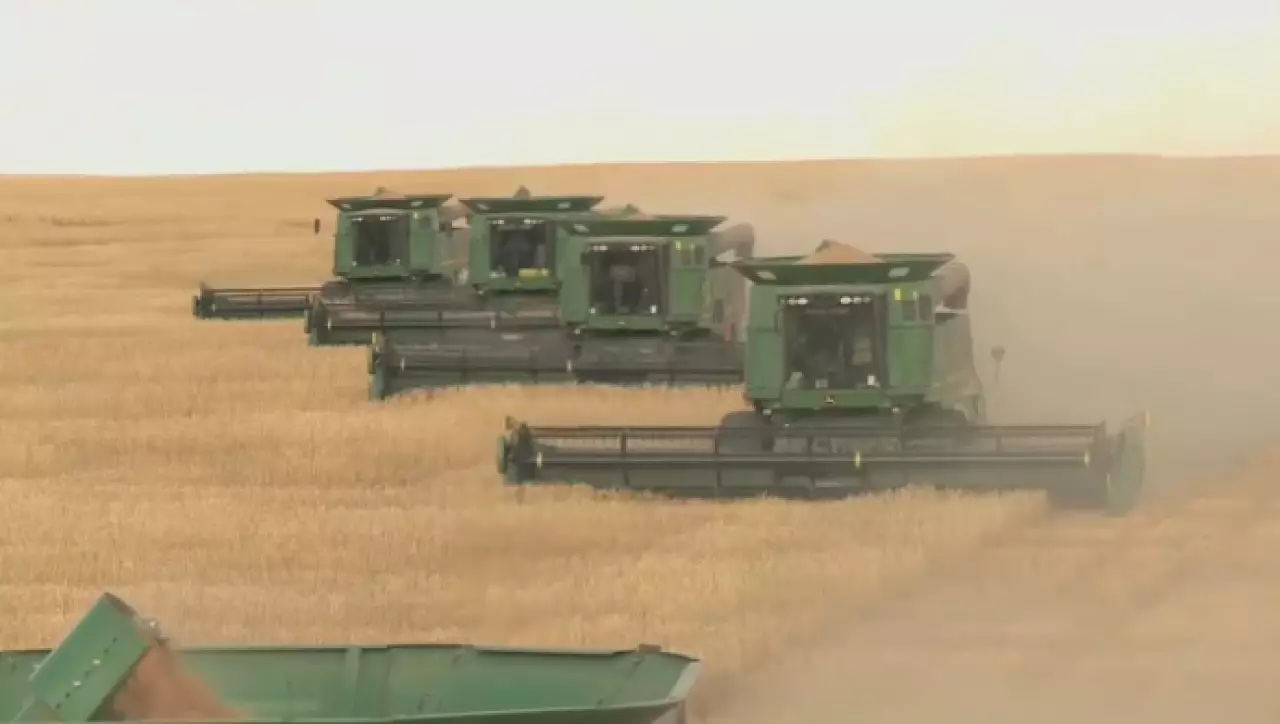 Рекорд по сбору зерна побили акмолинские аграрии
