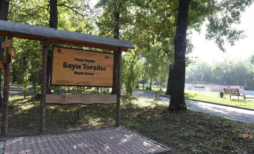 Незаконную вырубку деревьев выявили в роще Баума в Алматы