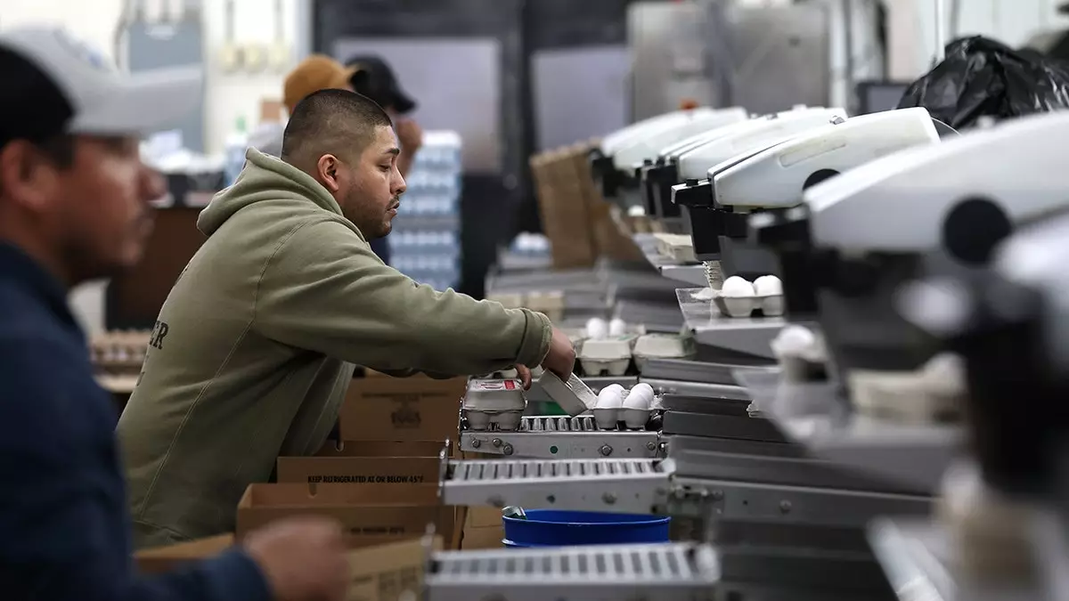 Случаи птичьего гриппа учащаются, заболевание подтвердили на коммерческой птицеферме в Джорджии.