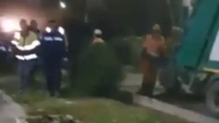 В Ташкенте ночью спилили 144 можжевельника, Кушербаев обвиняет замхокима города