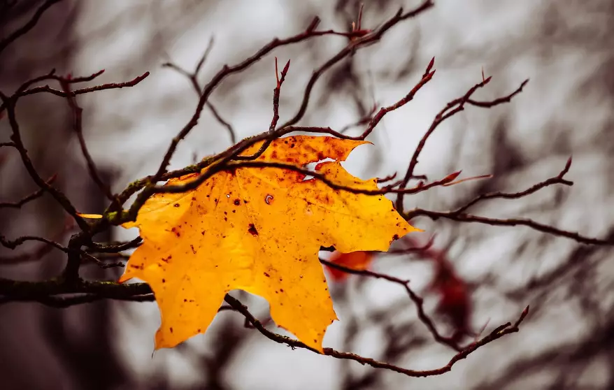 Туманы ожидаются в понедельник в ряде регионов Казахстана