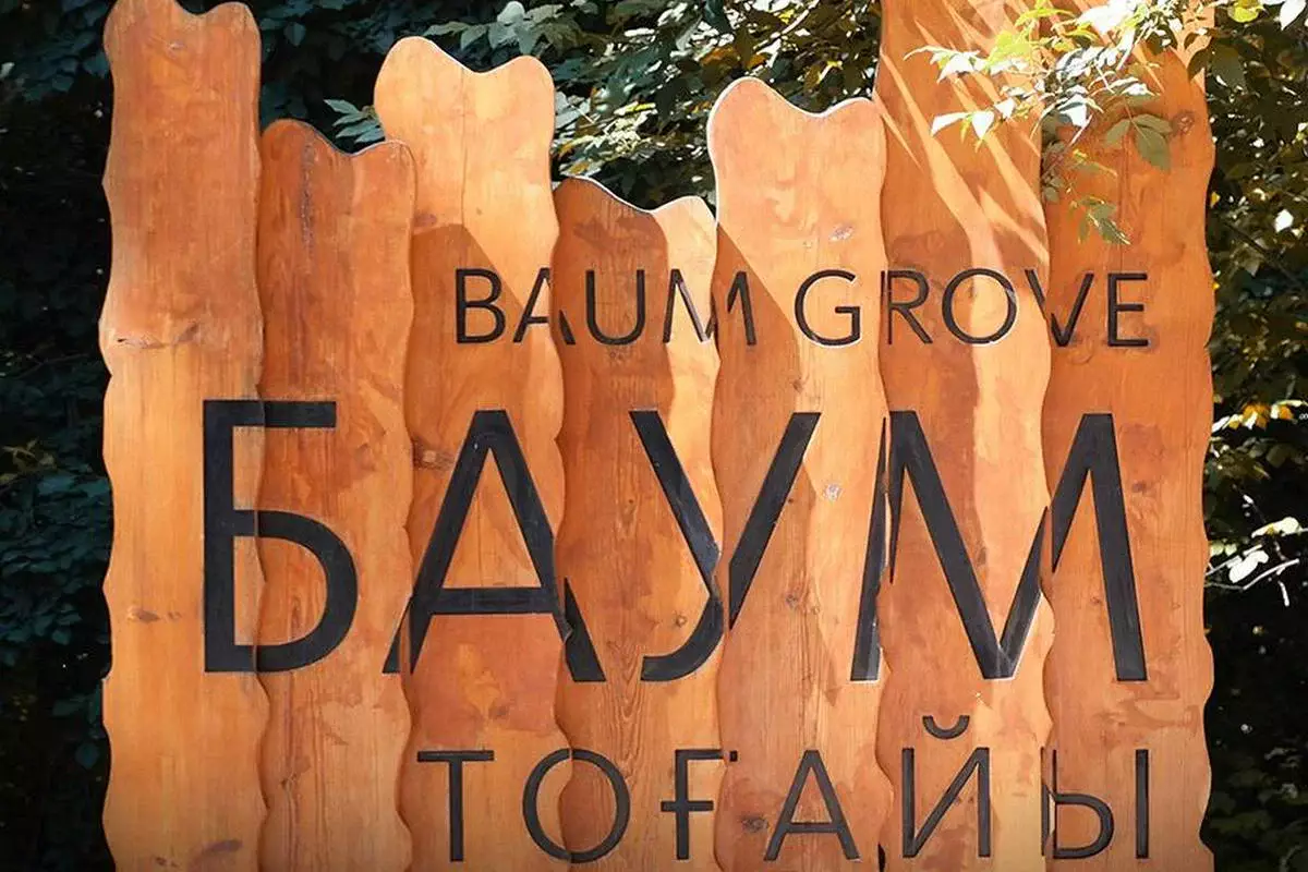 Неизвестные спилили деревья в роще Баума в Алматы, на месте обнаружили бензопилу